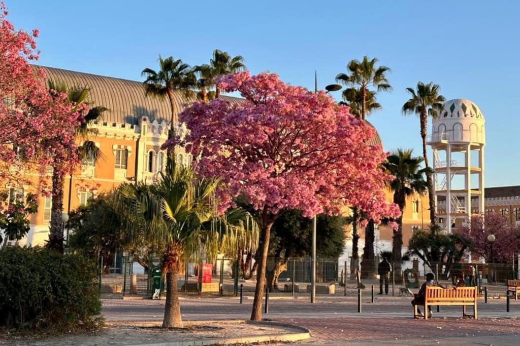 Apartamento Jacaranda Murcia Exterior foto