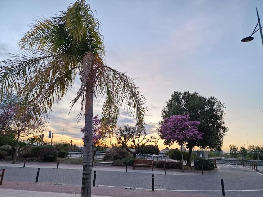 Apartamento Jacaranda Murcia Exterior foto